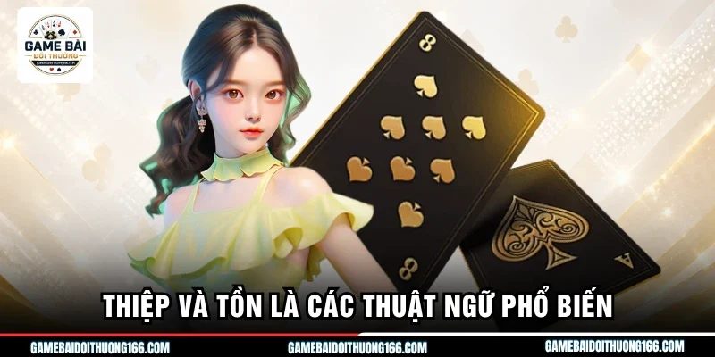 Thuật Ngữ Cát Tê Chuẩn Nhất Để Chinh Phục Sảnh Bài 6 Lá 3 Thiệp và tồn là các thuật ngữ phổ biến